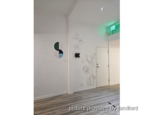 Image ViT 144152