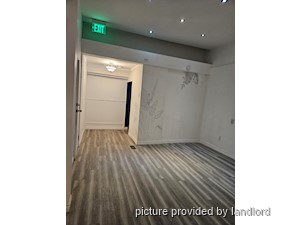 Image ViT 144152