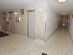 2 Bedroom apartment for rent in MISSISSAUGA