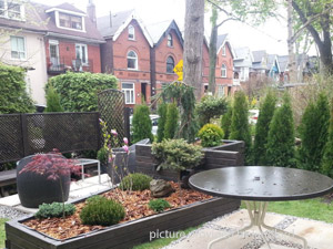 1 Bedroom apartment for rent in TORONTO