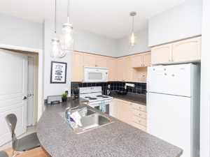 1 Bedroom apartment for rent in TORONTO 