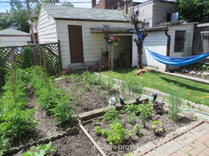 1 Bedroom apartment for rent in TORONTO