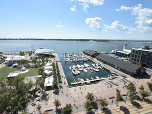 1 Bedroom apartment for rent in TORONTO  