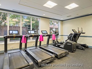 1 Bedroom apartment for rent in North York 