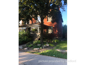 Image ViT 147162