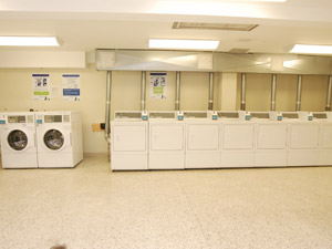 Bachelor apartment for rent in NORTH YORK