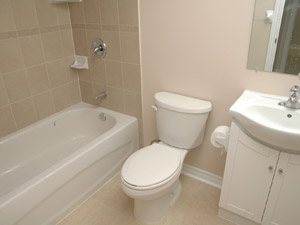 1 Bedroom apartment for rent in SCARBOROUGH 