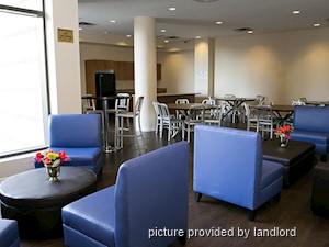 1 Bedroom apartment for rent in Brampton