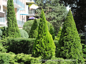 Bachelor apartment for rent in MISSISSAUGA 