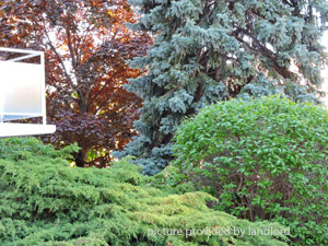 Bachelor apartment for rent in MISSISSAUGA 