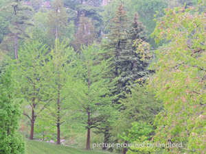 Bachelor apartment for rent in MISSISSAUGA 