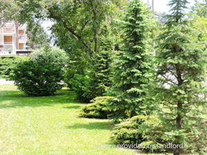 Bachelor apartment for rent in MISSISSAUGA 