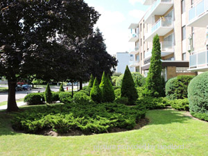 Bachelor apartment for rent in MISSISSAUGA 
