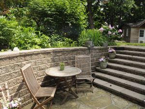 1 Bedroom apartment for rent in ETOBICOKE  