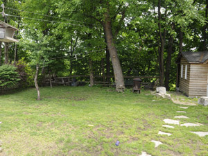 1 Bedroom apartment for rent in ETOBICOKE  