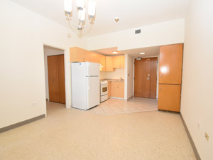 1 Bedroom apartment for rent in HAMILTON