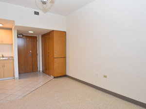 1 Bedroom apartment for rent in HAMILTON