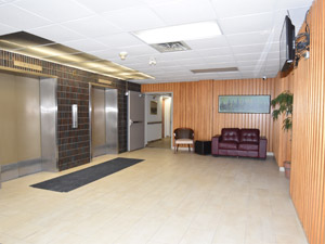 1 Bedroom apartment for rent in HAMILTON