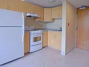 1 Bedroom apartment for rent in HAMILTON