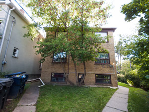 Image ViT 153363