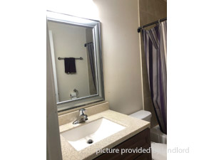1 Bedroom apartment for rent in TORONTO  
