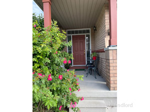 Bachelor apartment for rent in THORNHILL