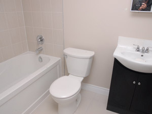 1 Bedroom apartment for rent in NORTH YORK  