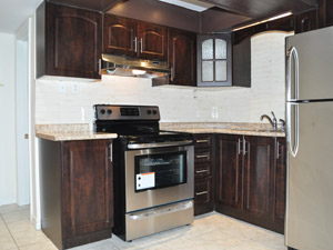 1 Bedroom apartment for rent in MISSISSAUGA