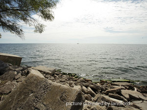 Bachelor apartment for rent in ETOBICOKE 