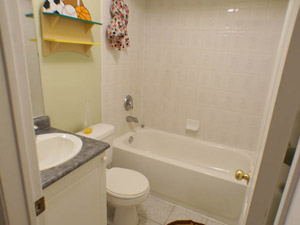 1 Bedroom apartment for rent in TORONTO