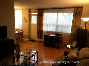 Image ViT 156458