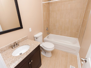 1 Bedroom apartment for rent in TORONTO