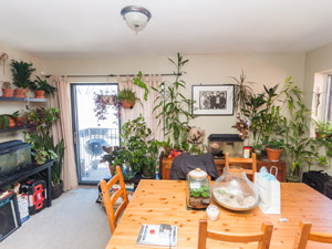 3+ Bedroom apartment for rent in TORONTO 