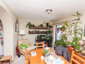 3+ Bedroom apartment for rent in TORONTO 