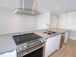 3+ Bedroom apartment for rent in  TORONTO