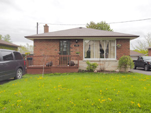 Image ViT 161407