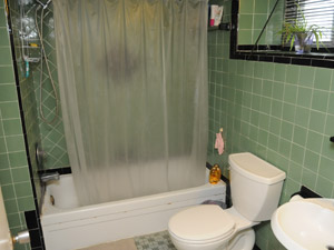 1 Bedroom apartment for rent in Toronto  