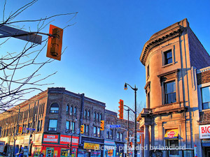 1 Bedroom apartment for rent in TORONTO