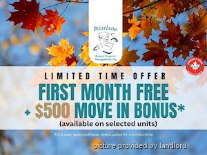 1 Bedroom apartment for rent in LONDON 