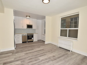 1 Bedroom apartment for rent in TORONTO 
