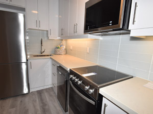 1 Bedroom apartment for rent in TORONTO 