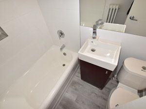 1 Bedroom apartment for rent in TORONTO 