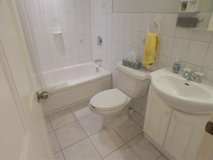 1 Bedroom apartment for rent in TORONTO  