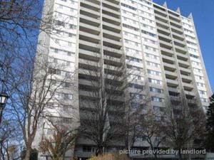 Image ViT 169281