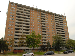 Image ViT 169438