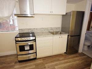 1 Bedroom apartment for rent in TORONTO