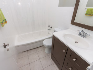 1 Bedroom apartment for rent in TORONTO  