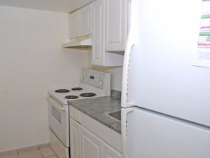 1 Bedroom apartment for rent in BRAMPTON 