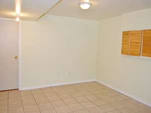 1 Bedroom apartment for rent in BRAMPTON 