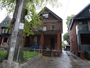 Image ViT 172417